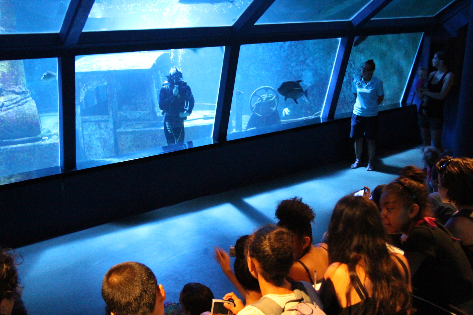 Aquarium de La Réunion Venez découvrir l'aquarium Journées