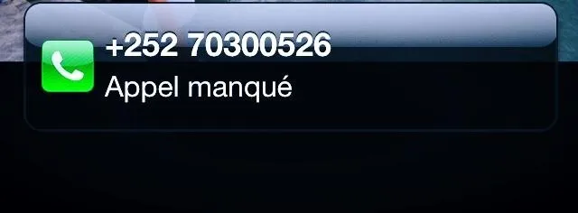 Le buzz du dimanche