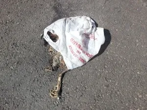 Dieu merci...le développement durable du quimbois est assuré en #Martinique