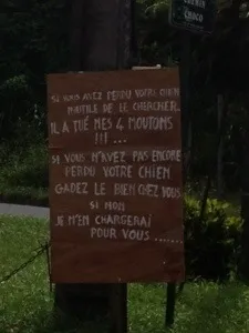 L'image du jour (16 juin 2013)