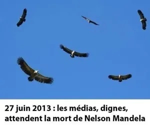 L'image du jour (28 juin 2013)