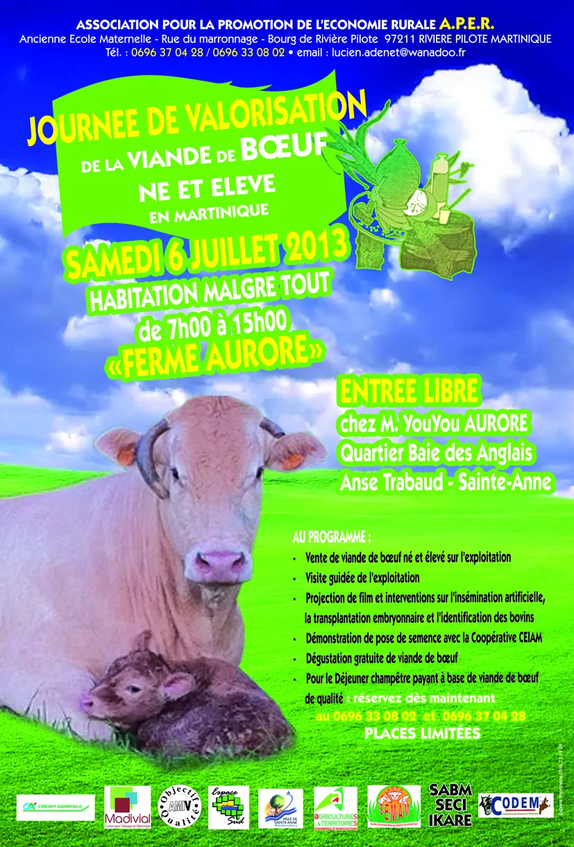 Valorisation de la viande de boeuf local