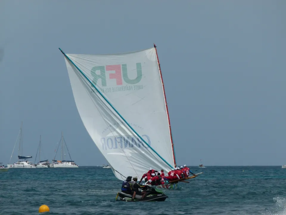 #TDY2013 : UFR/Chanflor Champion