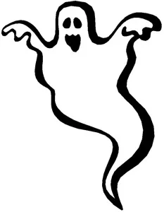 Il y a t-il une élue fantôme ou virtuelle au Conseil régional de la #Guyane ?
