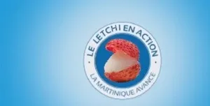 LES VOEUX DU PRESIDENT GROLLANDE, LETCHIMUR... parodie BOBI #2014