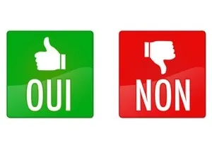 La phrase de l'année 2014 : " Oui j'ai dit non à #Letchimy"