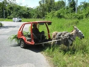 T'inquiète ...la #Martinique avance