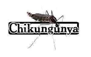 #Dengue/ #Chikungunya : La #Martinique invente la post prévention