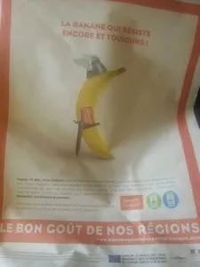 Qui a eu cette idée conne un jour d'mettre du chlordécone...c'est... ces...sacrés Charlemagne