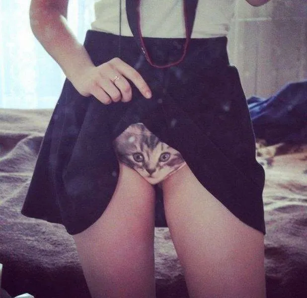 On a retrouvé la culotte de #Catwoman