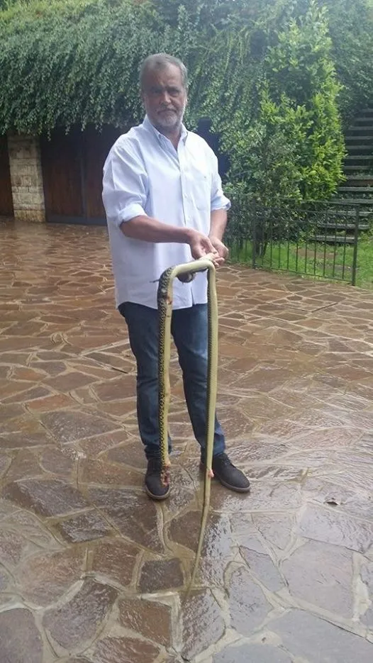 Neg ki paka fè lafet