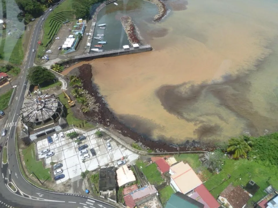 Point de situation sur les #sargasses en #Martinique : Nouvelle reconnaissance aérienne