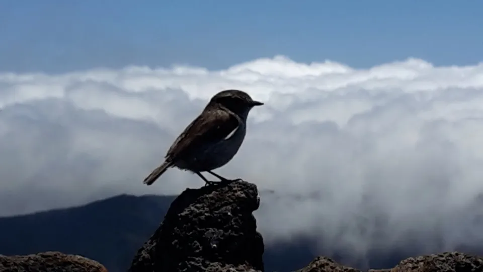Images du jour (15 octobre 2014)