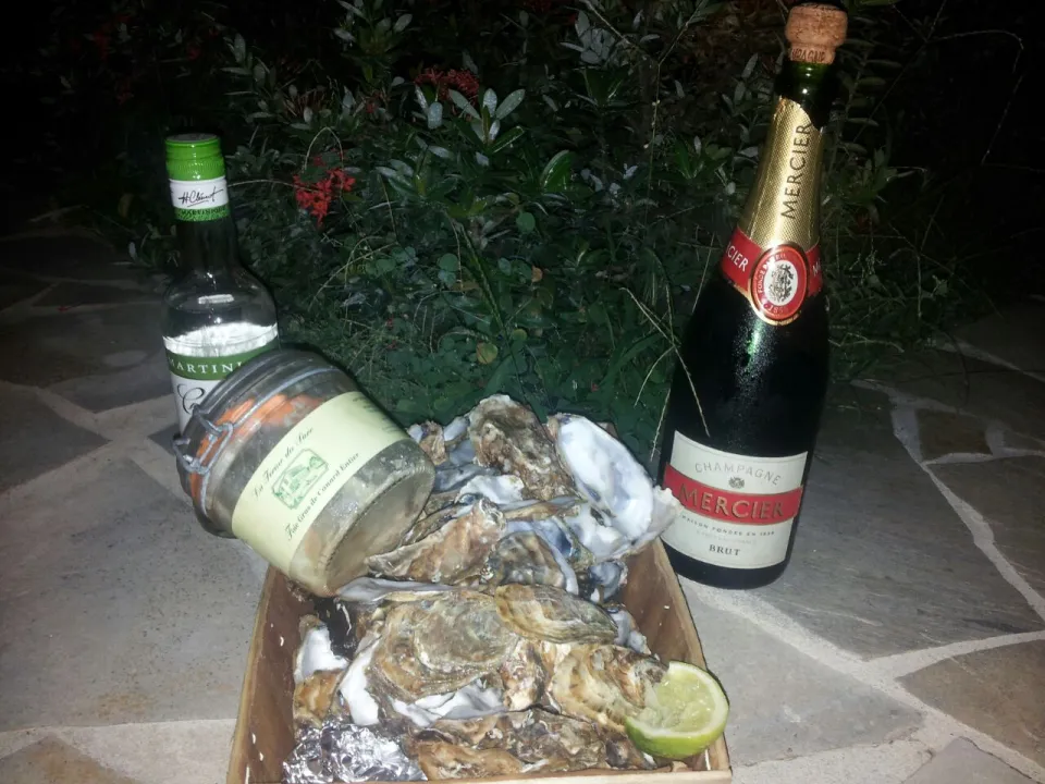 Bonne Année 2015, tout n'est pas perdu...