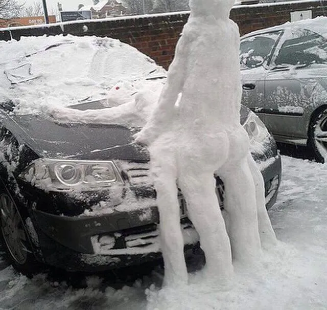 L'image du jour (31 janvier 2015)