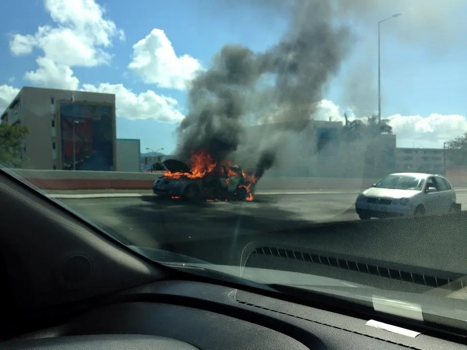 Images du jour (15 février 2015) #martinique