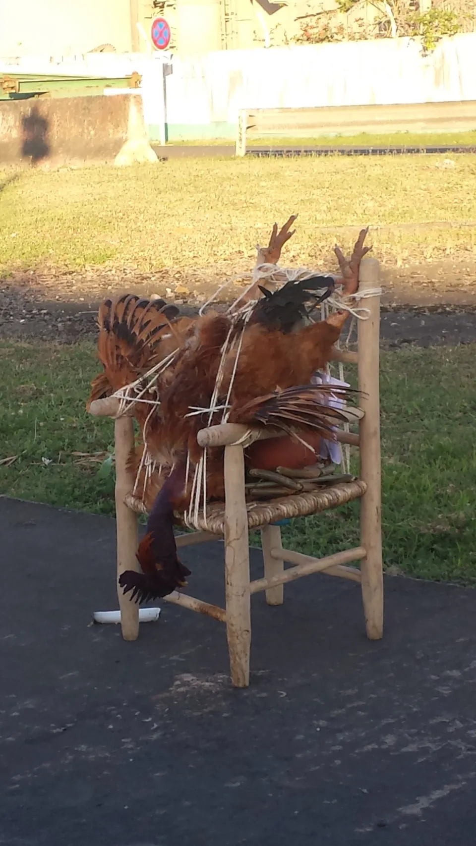 Images du jour (04/04/15) #martinique