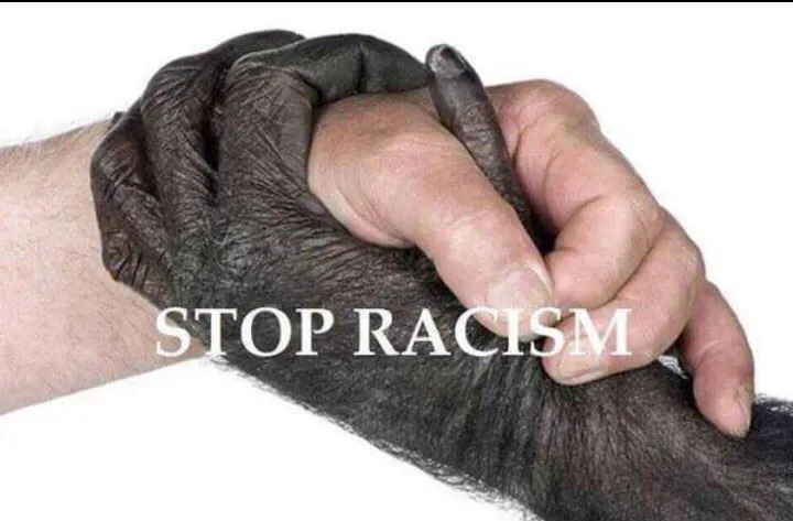 Image du jour (28/04/15) #racisme #racism #stopracism