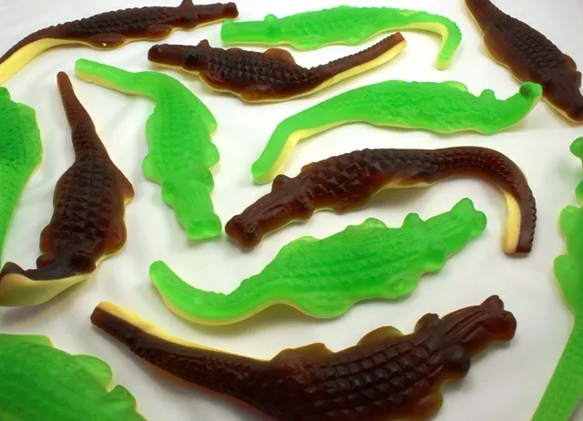Au Lamentin...toujours pas de lamantins mais...un #crocodile