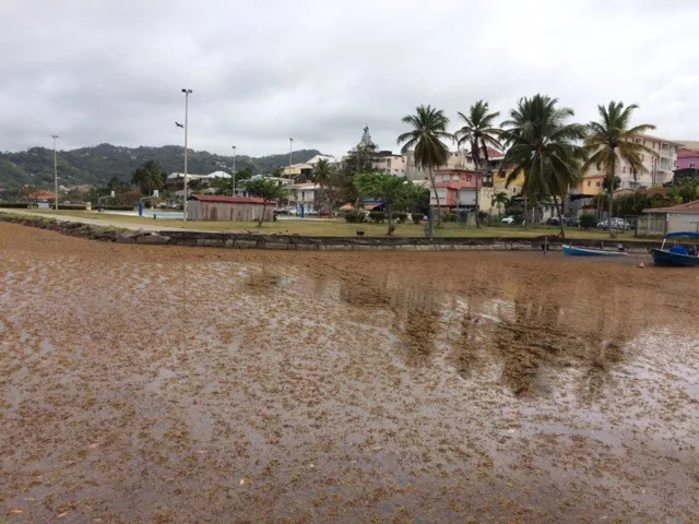C'est la baie résigna au Robert