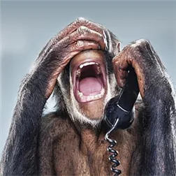 IL N'Y A PAS D'AFFAIRE CEREGMIA ! IL N'Y A PAS EU DE CRASH DE LA WEST CARIBBEAN ! IL N'Y A PAS EU D'EMPOISONNEMENT AU CHLORDECONE !