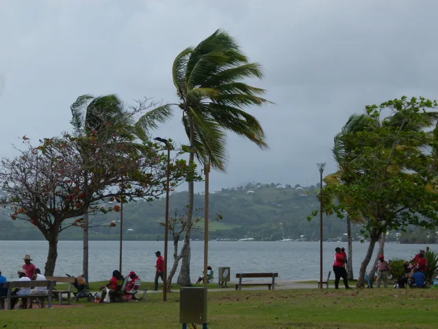 UFR/Chanflor gagne le Prix de la Fédération des Yoles Rondes de Martinique