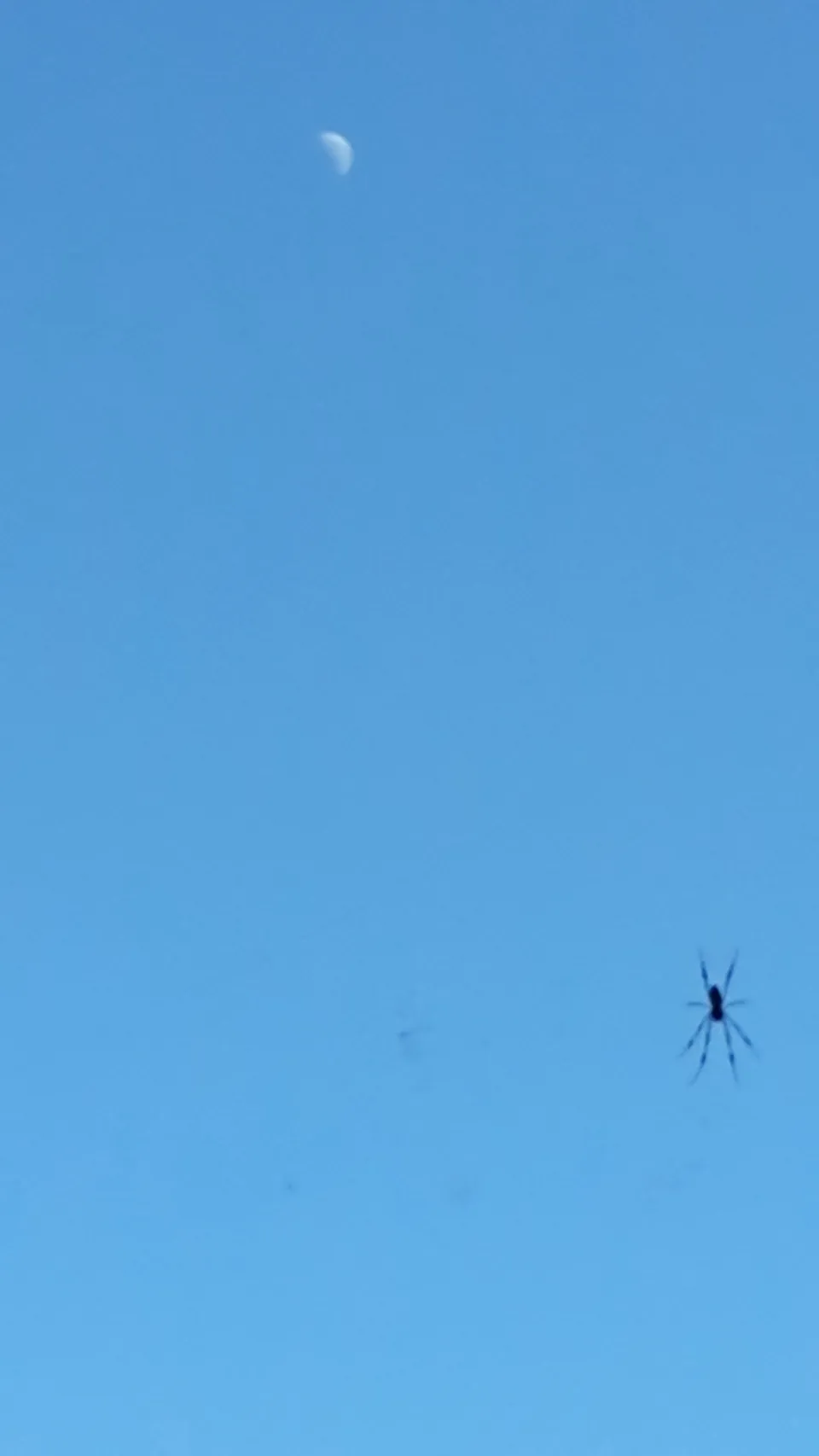 La terre a tremblé en Martinique [03/11/15]