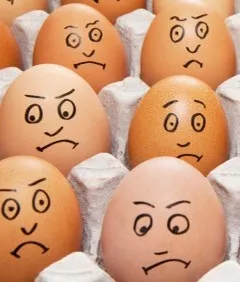 Comment tuer le poussin dans l'œuf au cœur d'une magouille qui ne manque pas d'ingénierie