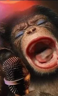 "FAITES TAIRE CE SINGE HURLEUR"