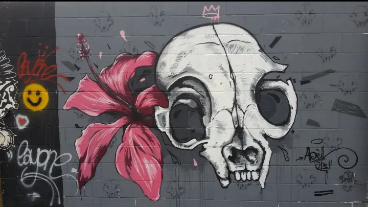 L'image du jour [ 08 / 11 / 15]