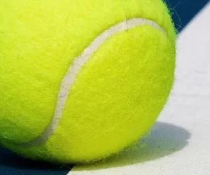 Coupe Davis de tennis : la Guadeloupe recevra bien France -Canada
