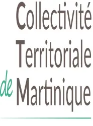 CTM : Incompétence et immobilisme, avez-vous dit J-C Duverger ? Non travail sérieux et sans agitation pour mettre le pays sur de bons rails !