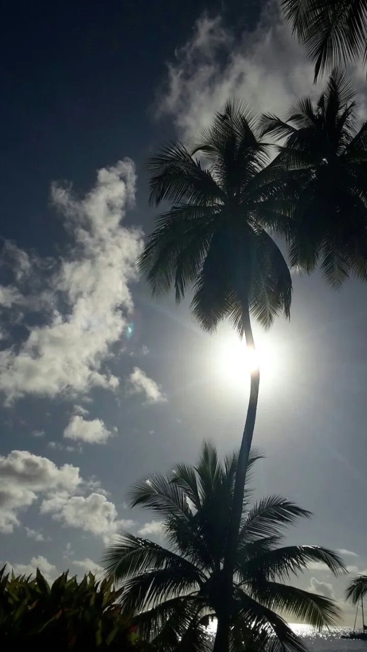 L'image du jour [10/01/16] Martinique
