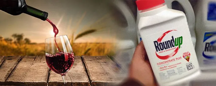 Du RoundUp détecté dans 100% des vins californiens