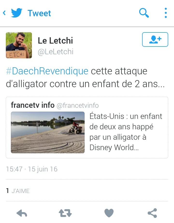 Le tweet du jour  [15/06/16] Alligator Daech Le Letchi