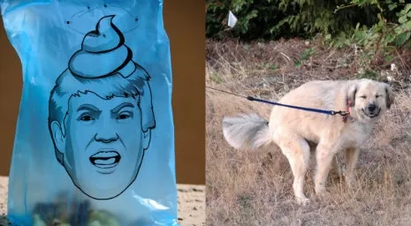 Trump est dans le sac