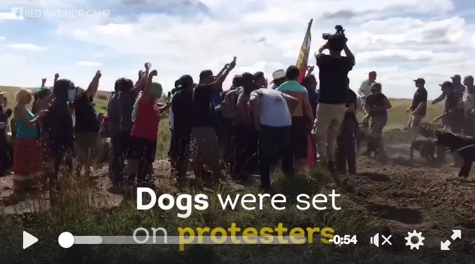 USA : ils lâchent les chiens sur les Amérindiens (vidéo)
