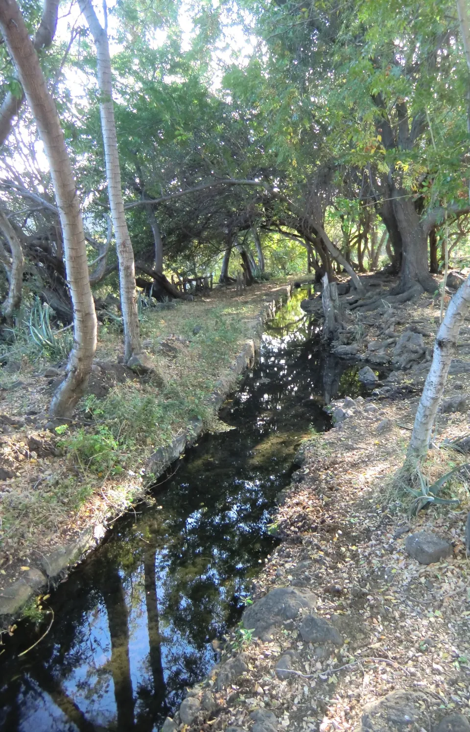 L'Eperon : Balade autour de la ravine Saint-Gilles - Journées Européennes du Patrimoine à la Réunion