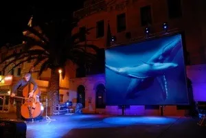 Entrepôt Kervéguen (Maison des TAAF) : Baleine et contrebasse - Journées Européennes du Patrimoine à la Réunion