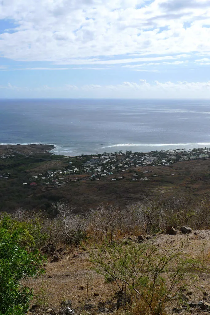 La savane de la Saline-les-Bains - Journées Européennes du Patrimoine à la Réunion