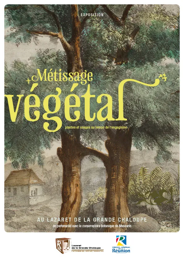 Lazarets de la Grande Chaloupe : Métissage végétal - Journées Européennes du Patrimoine à la Réunion