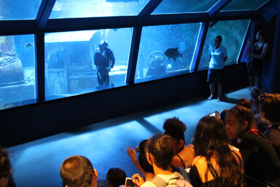 Aquarium de La Réunion : Venez découvrir l'aquarium - Journées Européennes du Patrimoine à la Réunion