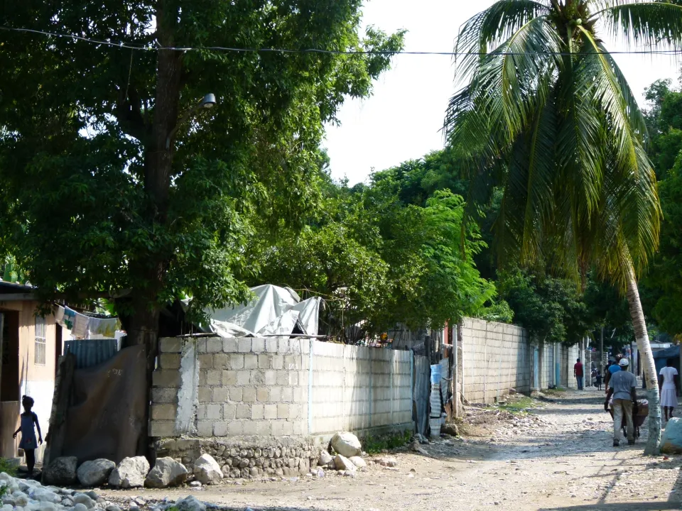 Aides à Haïti : la Martinique oubliée, la Guadeloupe aussi
