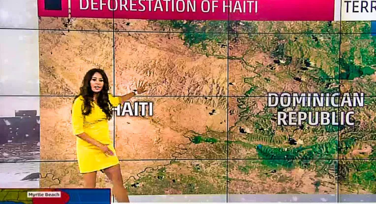 "En Haïti même les enfants ont mangé les arbres" (pétition)