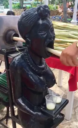 Ca rentre par la bouche et ça sort par les tétés