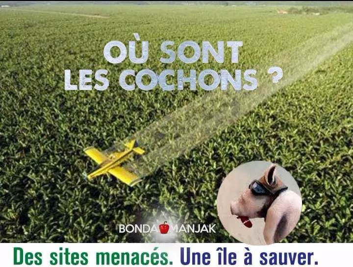 Les vrais cochons aiment les bananes chlordéconées