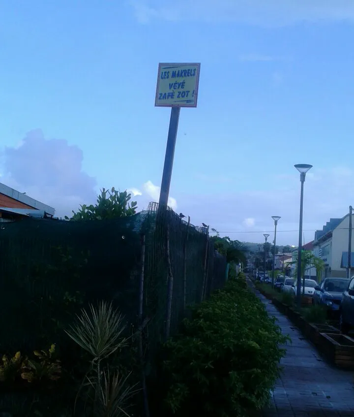 L'image du jour [18/11/16] Martinique