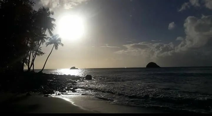 L'image du jour [29/12/16] Martinique