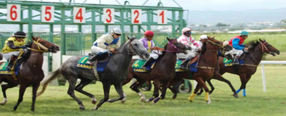Grand Prix Hippique 2017 à Carrère