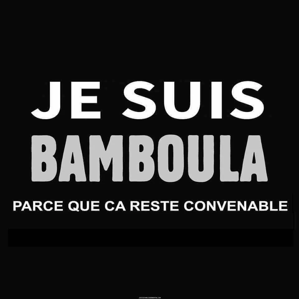 La phrase du jour 10/02/17 Poignant - Bamboula
